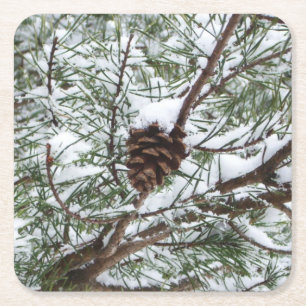 Dessous-de-verre Carré En Papier Snowy Pine Cône II hiver Photographie de la nature