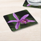 Dessous-de-verre Carré En Papier Sobralia Bouchei (Incliné)