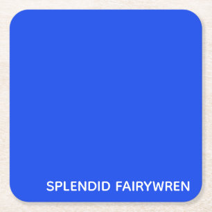 Dessous-de-verre Carré En Papier Splendid Fairywren Blue Colour