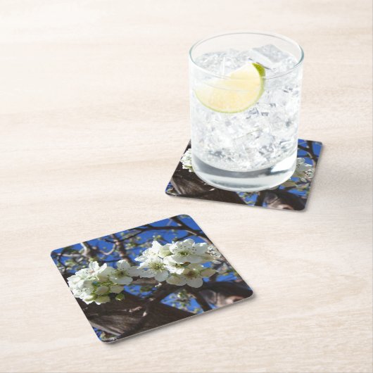 Dessous-de-verre Carré En Papier Spring Flowering Pear Tree (En situation)