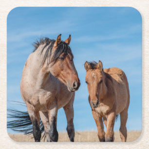 Dessous-de-verre Carré En Papier Stallion Mustang sauvage et poulain Cheval sauvage