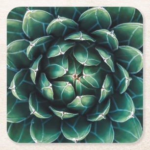 Dessous-de-verre Carré En Papier Succulent vert et blanc