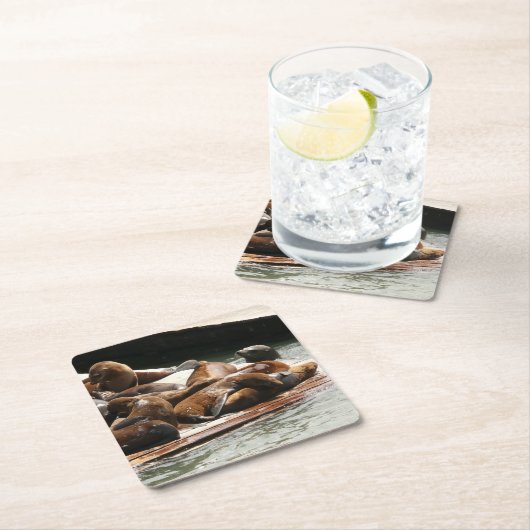 Dessous-de-verre Carré En Papier Sunning Lions à San Francisco (En situation)