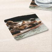 Dessous-de-verre Carré En Papier Sunning Lions à San Francisco (Incliné)