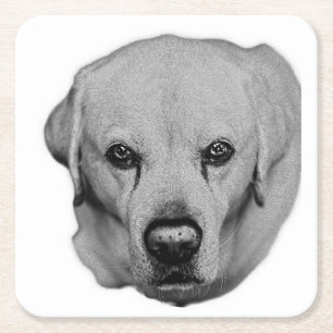 Dessous-de-verre Carré En Papier Sur Vous, Sip Facile