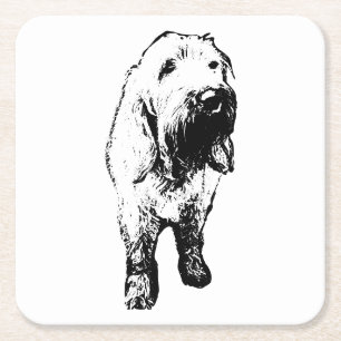 Dessous-de-verre Carré En Papier Tapis pour chien Spinone – Design debout hirsute