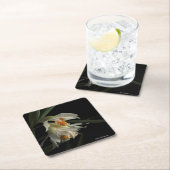 Dessous-de-verre Carré En Papier Thunia Marshalliana (En situation)