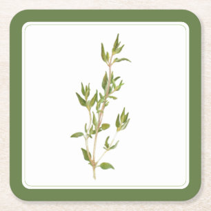 Dessous-de-verre Carré En Papier THYM FRESH Coasters en papier carré (-texte) Vert