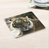 Dessous-de-verre Carré En Papier Tigre du Bengale (Incliné)