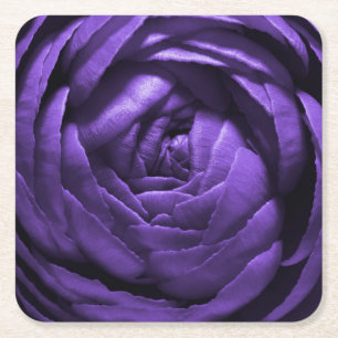 Dessous-de-verre Carré En Papier Tir pourpre de macro de fleur
