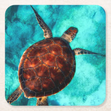 Tortue de mer Vie marine