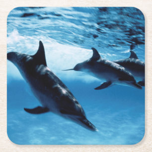 Dessous-de-verre Carré En Papier Trio de dauphins