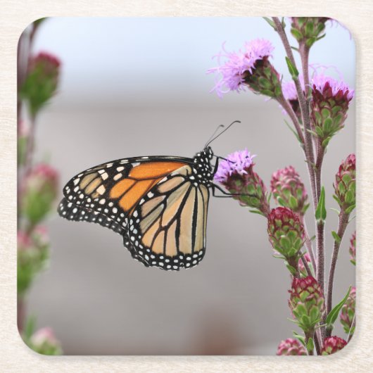 Dessous-de-verre Carré En Papier Trivet Minarque (Devant)