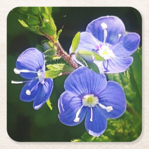 Dessous-de-verre Carré En Papier Trois fleurs bleues