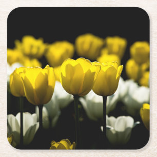 Dessous-de-verre Carré En Papier Tulipes Jaune Et Blanc