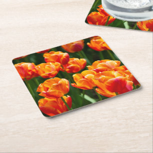 Dessous-de-verre Carré En Papier Tulipes orange vif dans le parc