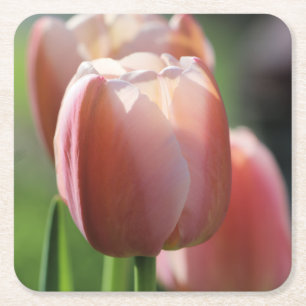 Dessous-de-verre Carré En Papier Tulipes roses