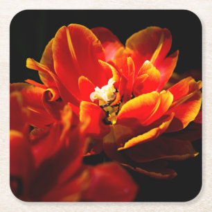 Dessous-de-verre Carré En Papier Tulipes rouges sur fond sombre