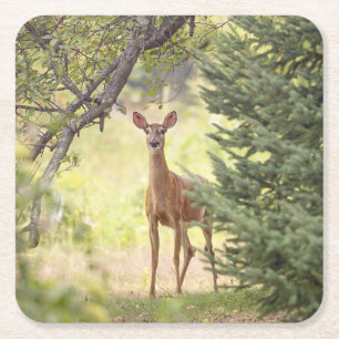 Dessous-de-verre Carré En Papier Un cerf solitaire