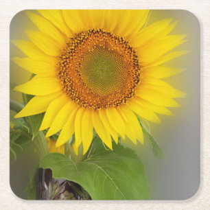 Dessous-de-verre Carré En Papier un tournesol lumineux