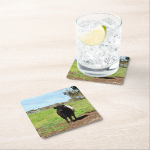 Dessous-de-verre Carré En Papier Vache Galloway Femme Dans Le Pays, Dessous de verr