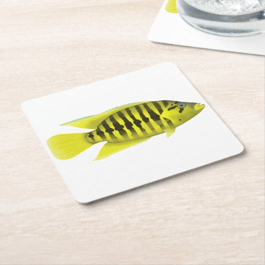 Dessous-de-verre Carré En Papier Veste jaune Cichlid (Incliné)