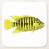 Dessous-de-verre Carré En Papier Veste jaune Cichlid (Devant)