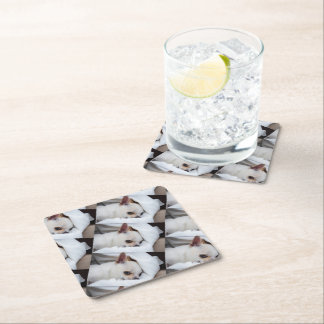 Dessous-de-verre Carré En Papier Votre chiot chien de compagnie photo personnalisée