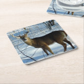 Dessous-de-verre Carré En Papier Whitetail Buck Winter (Incliné)