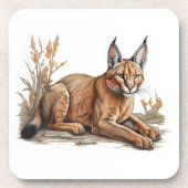 Dessous-de-verre Carte postale (Devant)