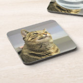 Dessous-de-verre Cat (Côté gauche)
