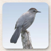 Dessous-de-verre Catbird (Devant)