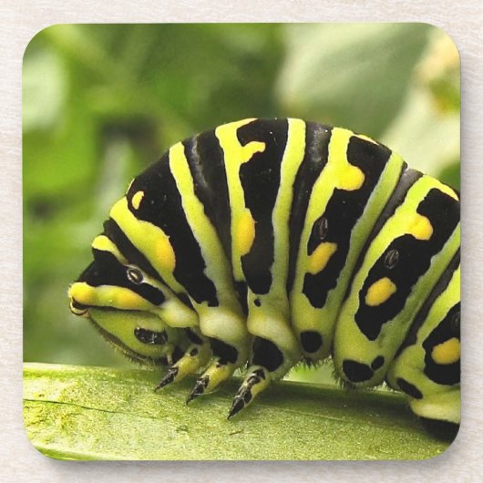 Dessous-de-verre Caterpillar noire (Devant)