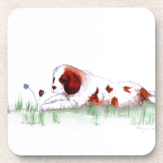 Dessous-de-verre Cavalier King Charles Spaniel (Devant)