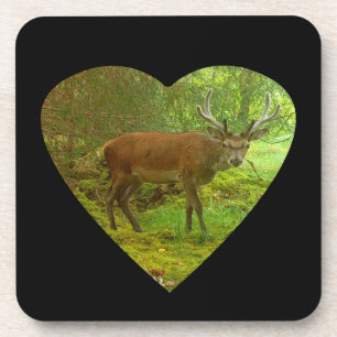 Dessous-de-verre Cerf élégant Bois Vert mousseux 6 x