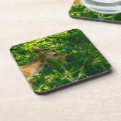 Dessous-de-verre Cerf roux dans la forêt. (Côté gauche)