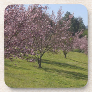 Dessous-de-verre Cerisiers en fleurs