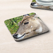 DESSOUS-DE-VERRE CERVEAU (Côté gauche)