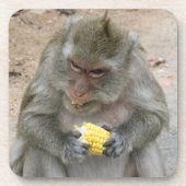 Dessous-de-verre C'est à moi ! ! ... Singe Macaque thaïlandais sauv (Devant)