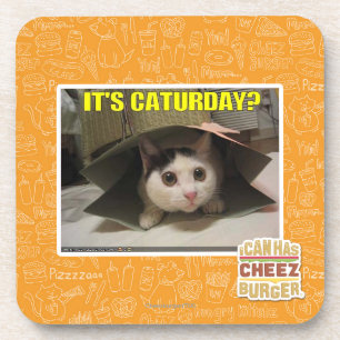 Dessous-de-verre C'est Caturday ?