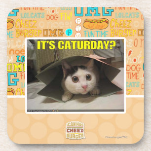 Dessous-de-verre C'est Caturday ?