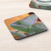 Dessous-de-verre Chameleon voilé (Côté gauche)