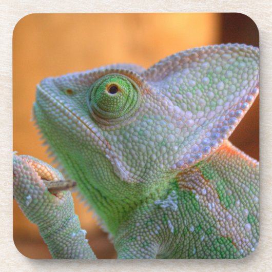 Dessous-de-verre Chameleon voilé (Devant)
