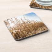 Dessous-de-verre Champ de maïs en partie moissonné (Côté gauche)