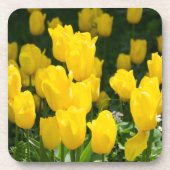Dessous-de-verre Champ de tulipes jaune vif (Devant)