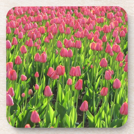Dessous-de-verre Champ de tulipes roses (Devant)