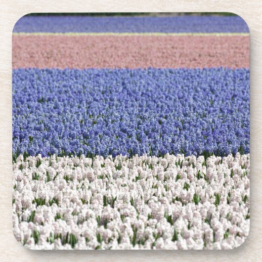 Dessous-de-verre Champ Hyacinth (Devant)