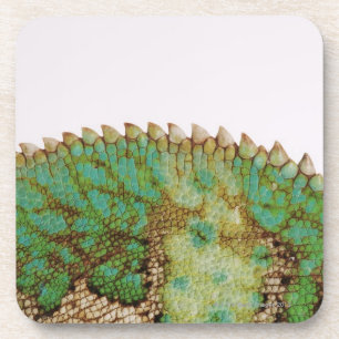 Dessous-de-verre Changement de peau de caméléon