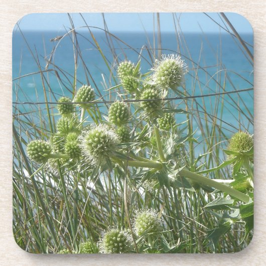 Dessous-de-verre chardons (Devant)