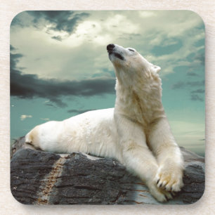 Dessous-de-verre Chasseur blanc d'ours blanc sur la roche